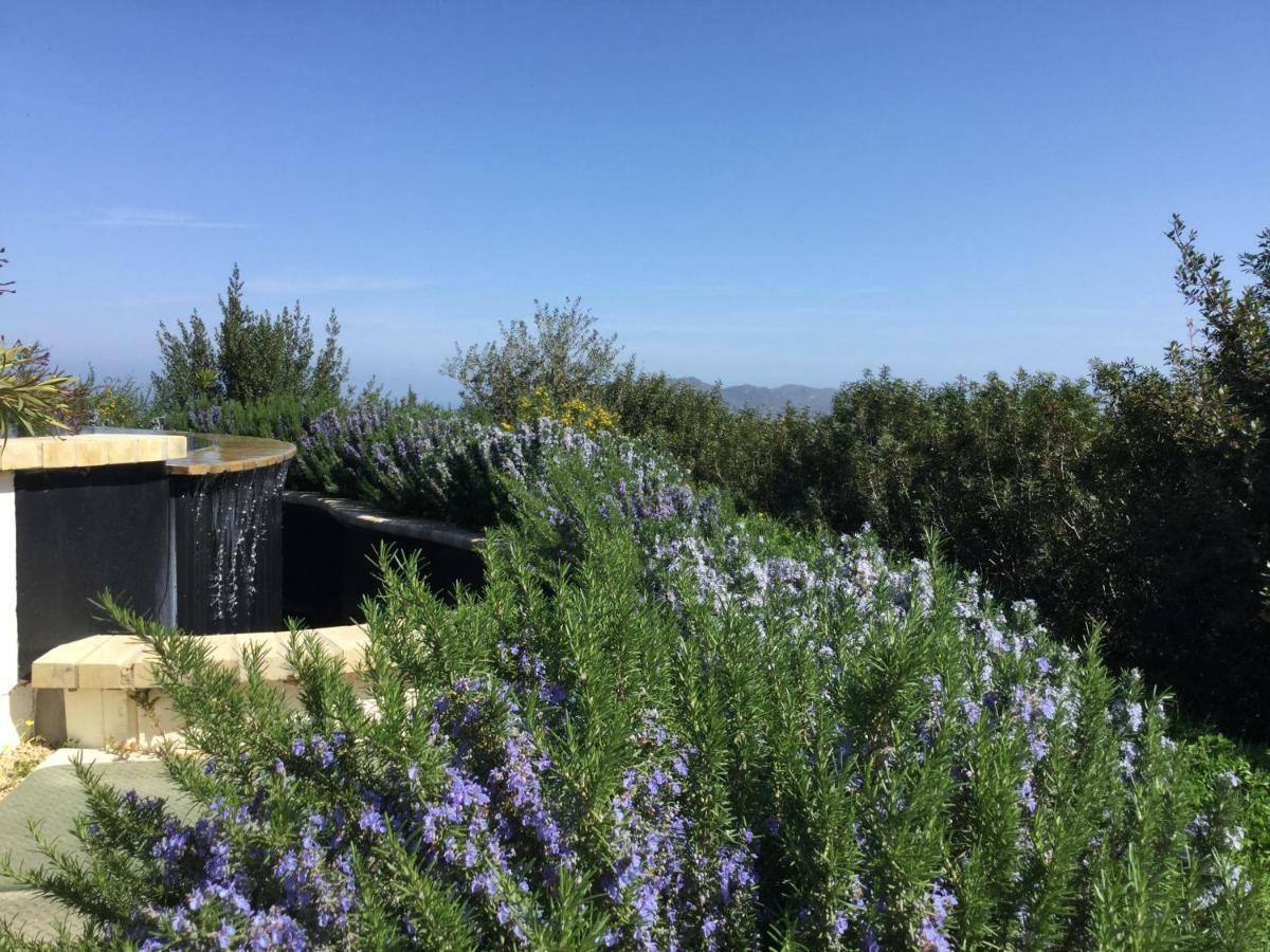Le Tre Civette - Residenza Di Campagna Acomodação com café da manhã Villa San Pietro Exterior foto